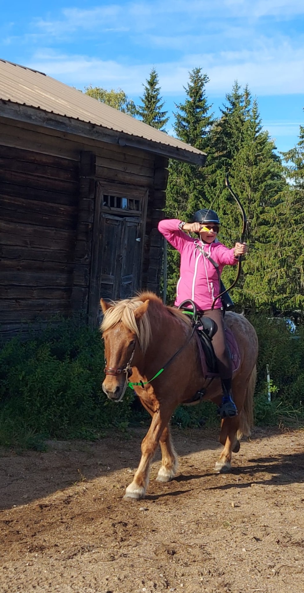 Heli Pohjolainen, hallituksen jäsen